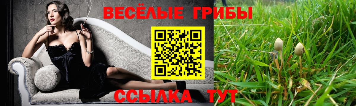 Галлюциногенные грибы Psilocybine cubensis  Вход с VPN  Псилоцибиновые грибы Psilocybe  Нововоронеж 