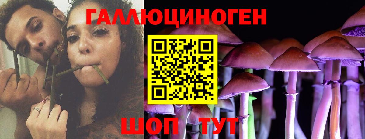 Галлюциногенные грибы GOLDEN TEACHER Нововоронеж