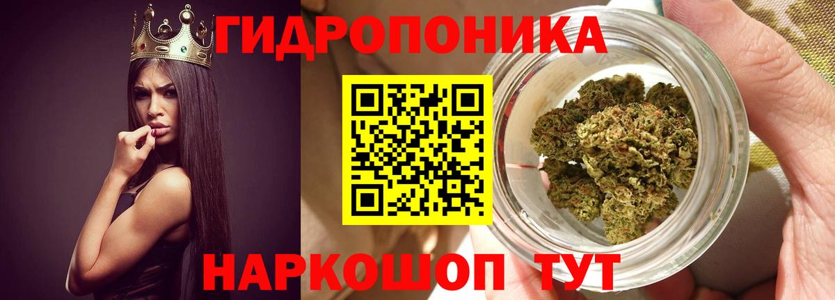 Канабис White Widow  Канабис AK-47  Вход с VPN  Шишки марихуана марихуана  Нововоронеж  Бошки марихуана марихуана 